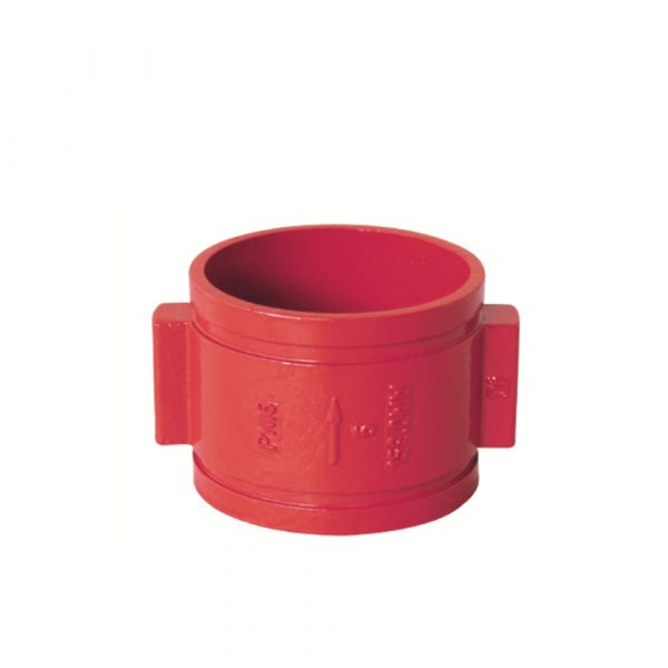 Double Door Grooved Check Valve