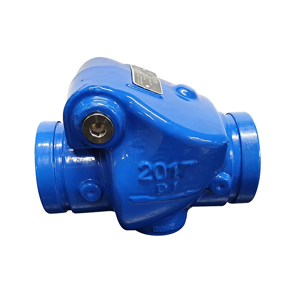 Grooved Check Valve