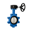 Handle Lugged Butterfly Valve
