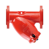 Flanged Y Strainer