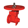 Flanged Resilient Seated NRS Gate Valve with Indicator Post