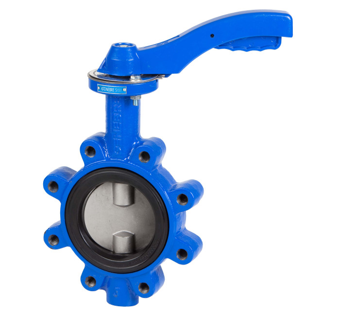 Lugged wafer butterfly valve