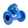 Flanged Y Strainer