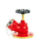 Flanged Oblique Landing Valve